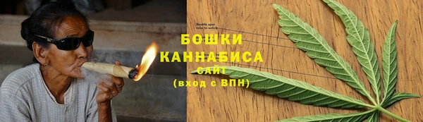 прущие грибы Семикаракорск