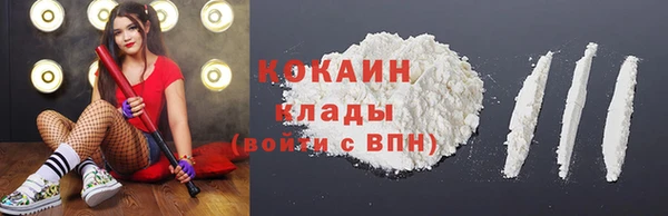 прущие грибы Семикаракорск