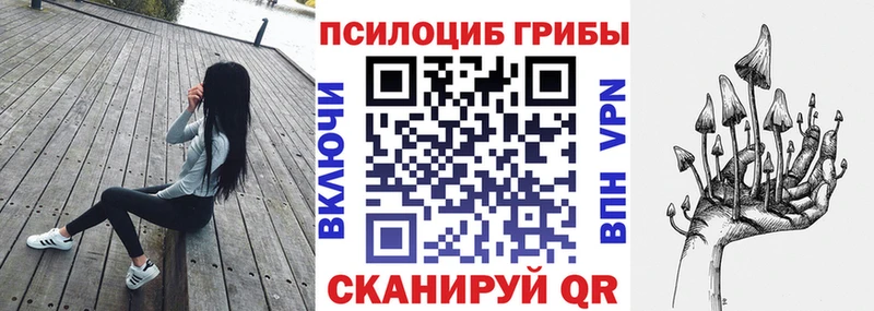 Псилоцибиновые грибы Psilocybe  Миллерово 