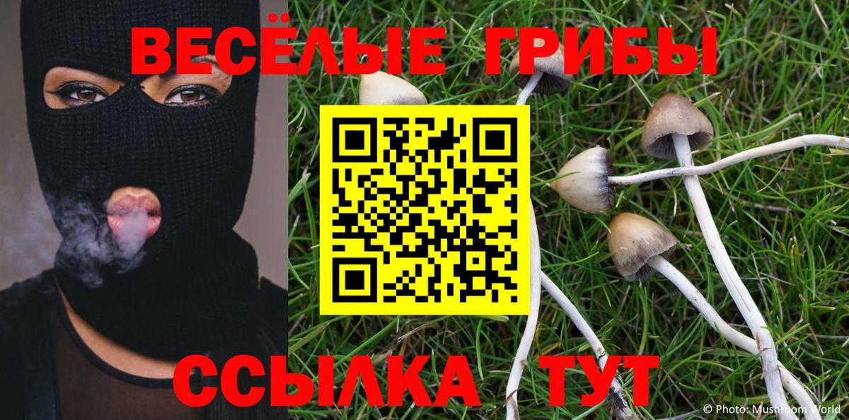 Псилоцибиновые грибы GOLDEN TEACHER Миллерово