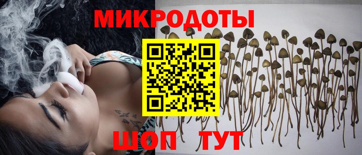 Псилоцибиновые грибы MAGIC MUSHROOMS  Вход с VPN  Галлюциногенные грибы MAGIC MUSHROOMS  Миллерово 